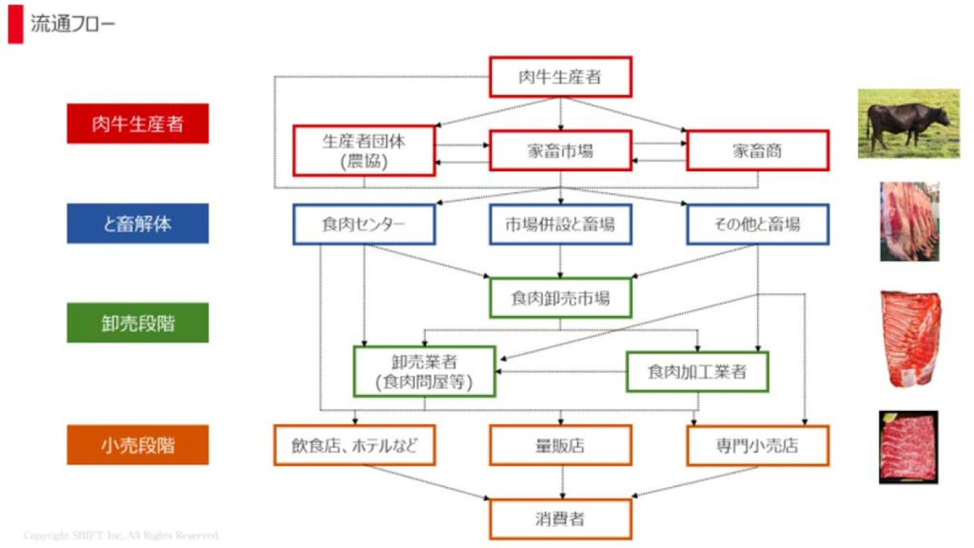 流通ルートの現状
