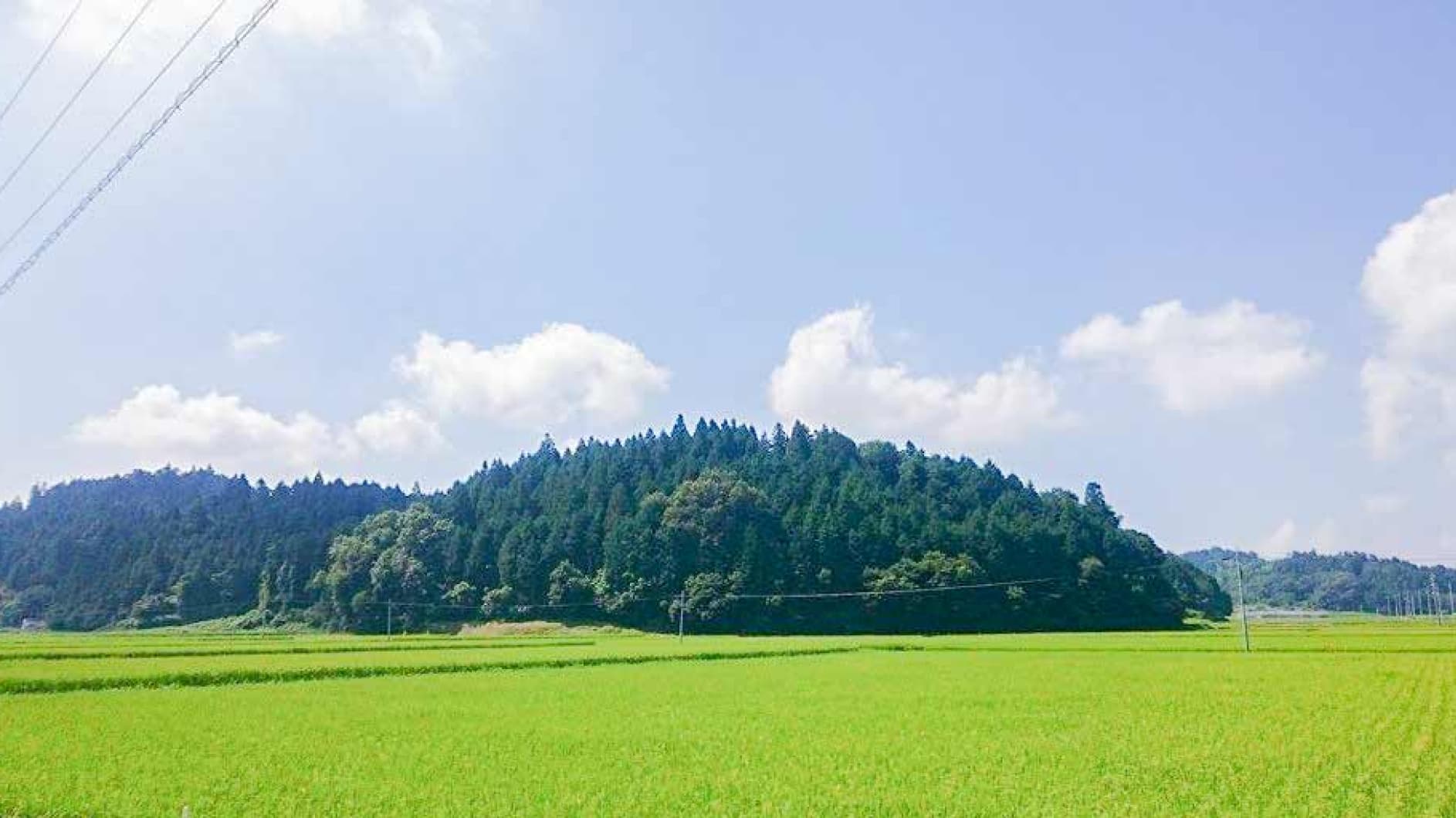神石高原町の環境は、気候変動に敏感な牛にとって最適