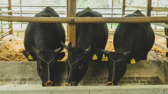 「神石牛」とはどんな肉？