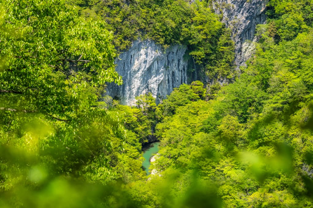 スライダー画像04