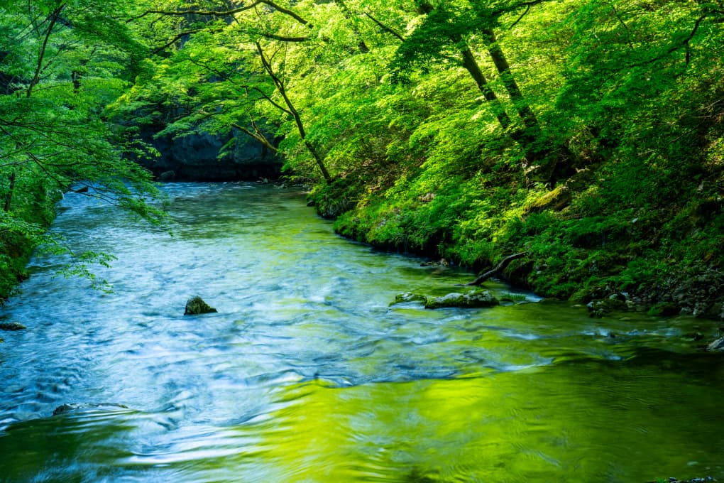 スライダー画像05