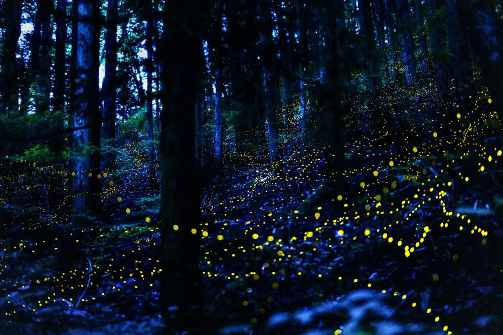 スライダー画像07