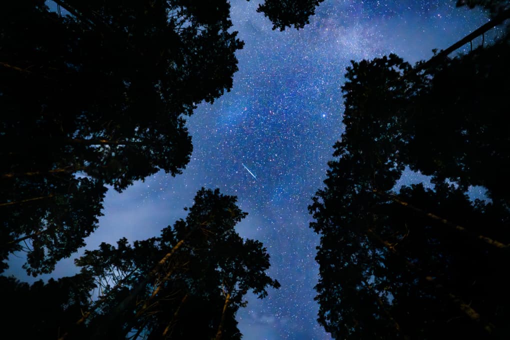 スライダー画像08